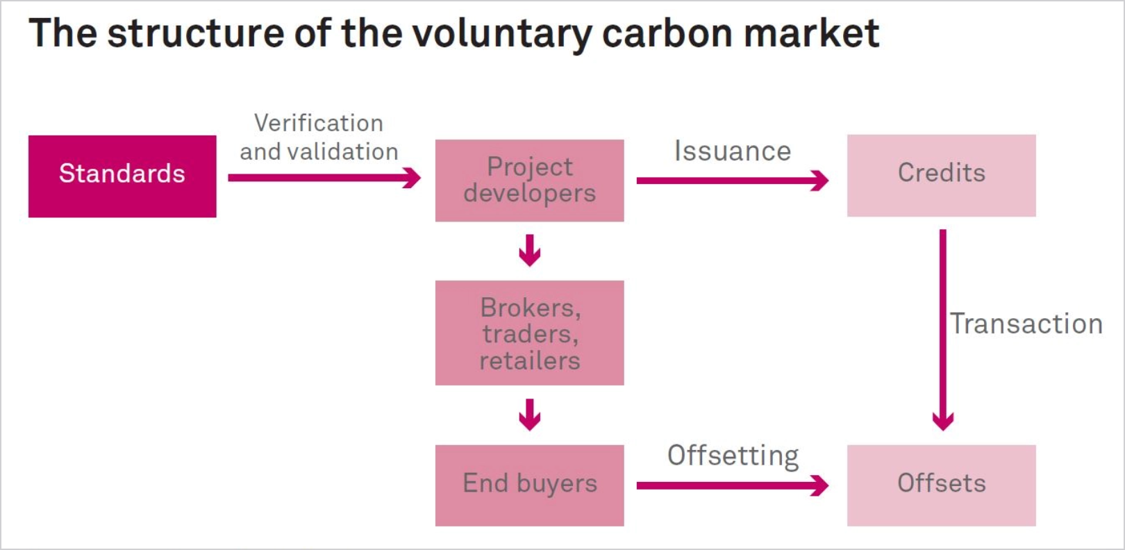 how-to-save-the-amazon-rainforest-show-farmers-they-can-earn-more-by